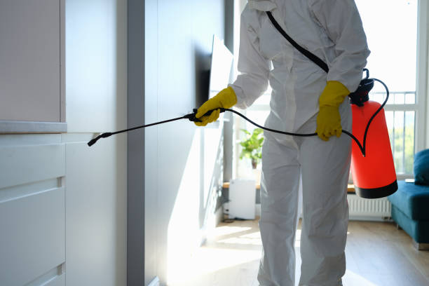Best Residential Mold Remediation in Kennesaw State University, GA