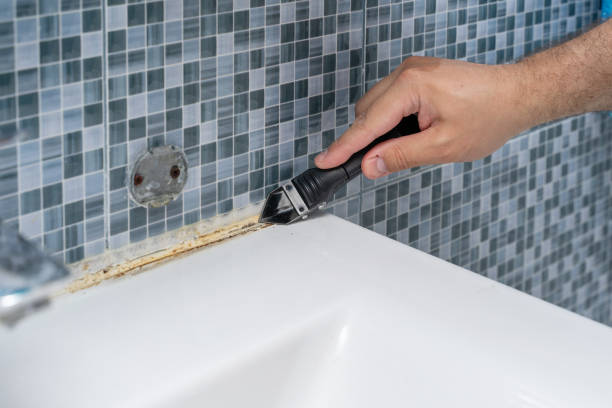 Best Mold Testing and Inspection Services in Kennesaw State University, GA
